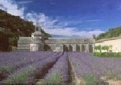 Blick auf das alte Kloster über ein blühendes Lavendelfeld